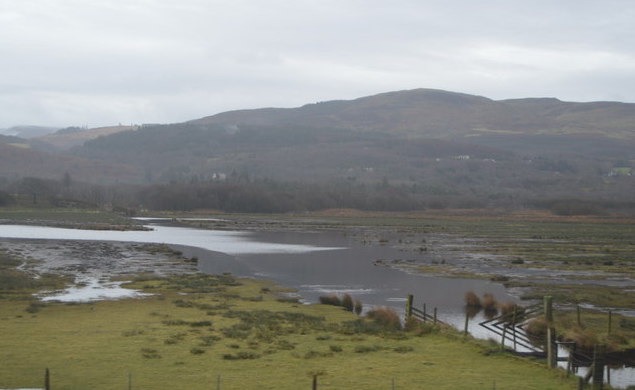 Dyfi ynyslas