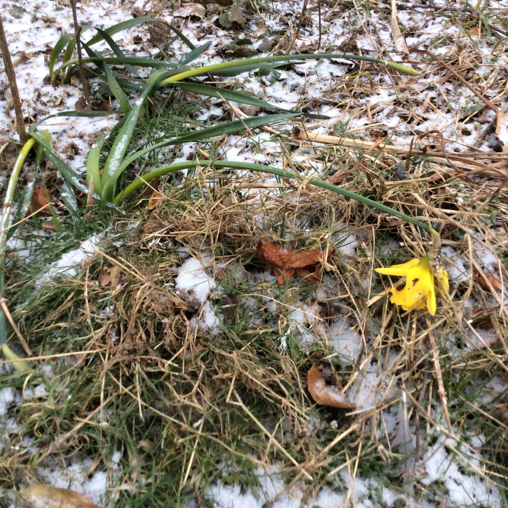 59107754-E776-475F-86C6-F992129D72A3