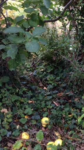 457C9CF8-F2D9-4193-9E2A-8BE8B1B31671