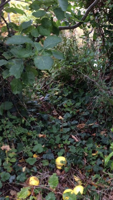 457C9CF8-F2D9-4193-9E2A-8BE8B1B31671